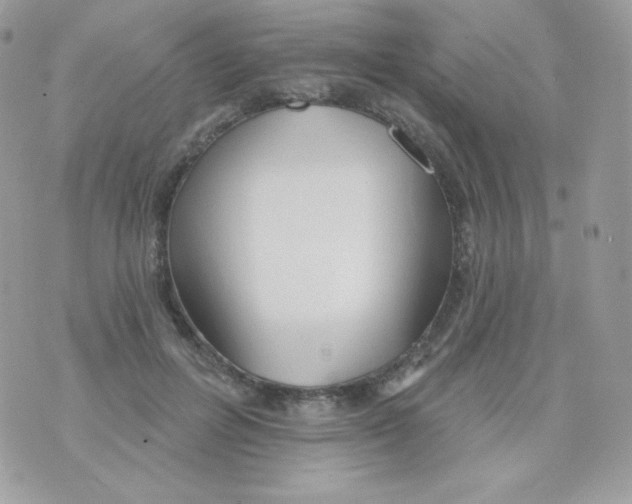 X0000074960600200609291914