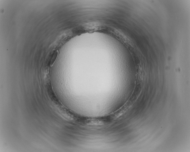 X0000074960601200609291914