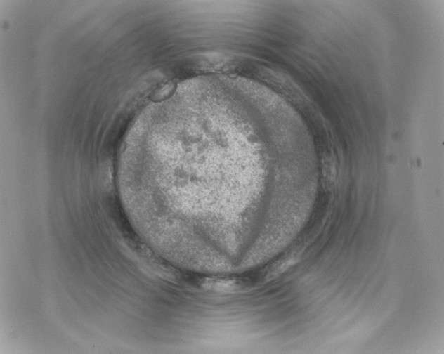 X0000074960602200609291914