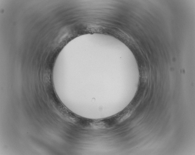 X0000074960603200609291914