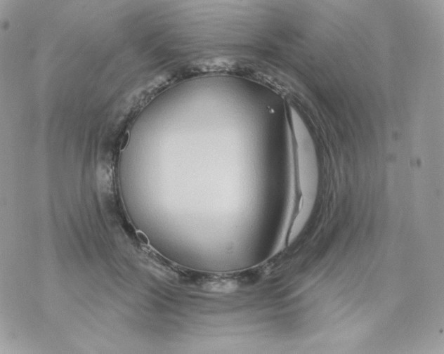 X0000074960604200609291914