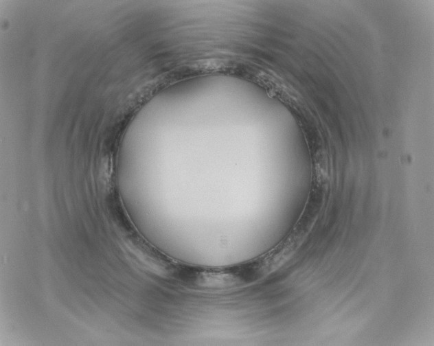 X0000074960605200609291914