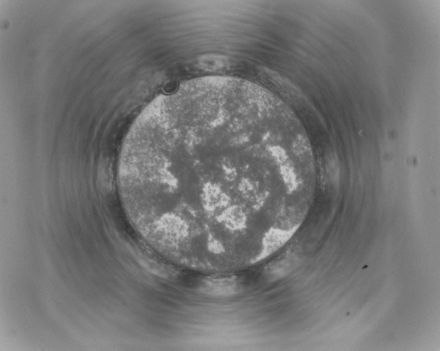 X0000074960606200609291914