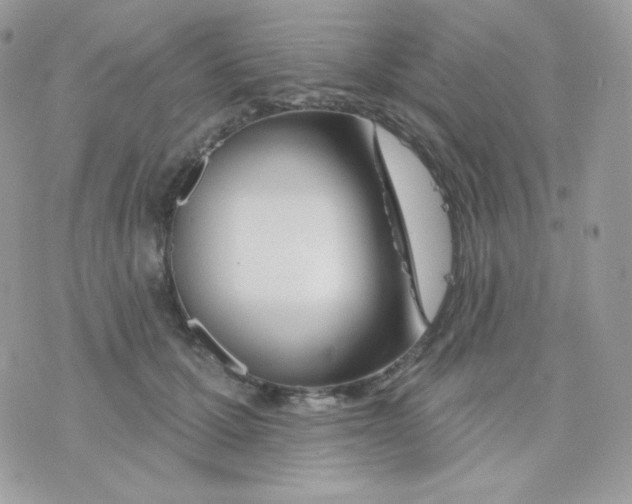 X0000074960607200609291914