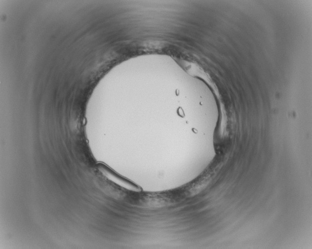 X0000074960608200609291914