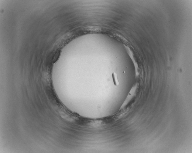 X0000074960609200609291914