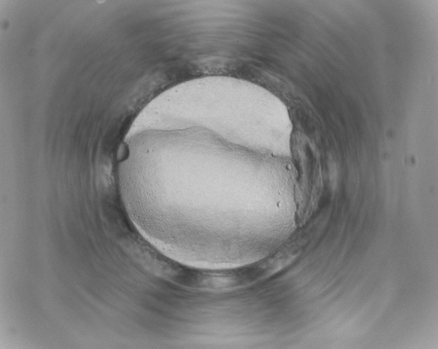 X0000074960610200609291914