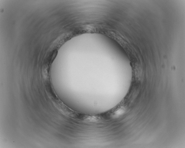 X0000074960611200609291914