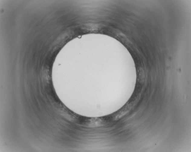 X0000074960612200609291914