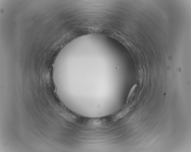 X0000074960613200609291914