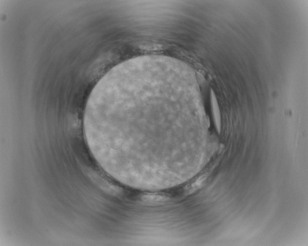 X0000074960614200609291914