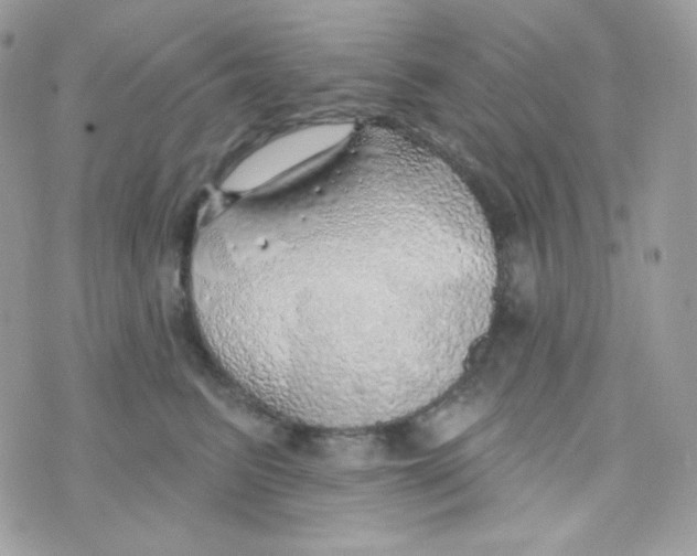 X0000074960615200609291914