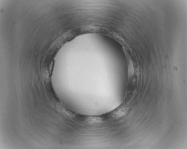 X0000074960617200609291914