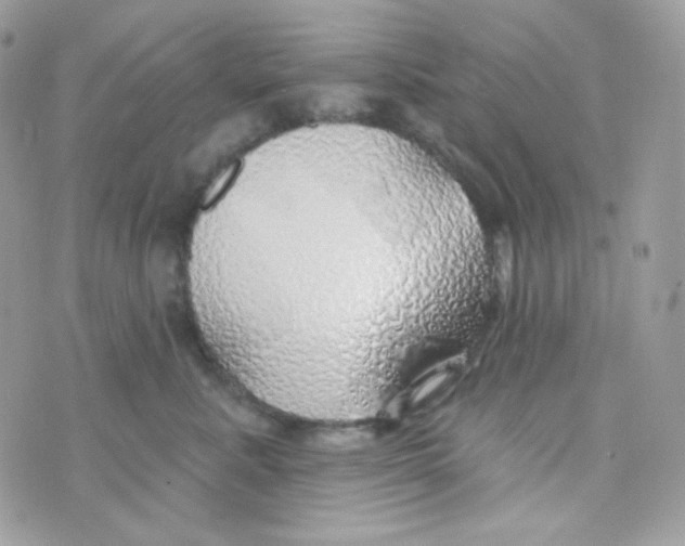 X0000074960619200609291914