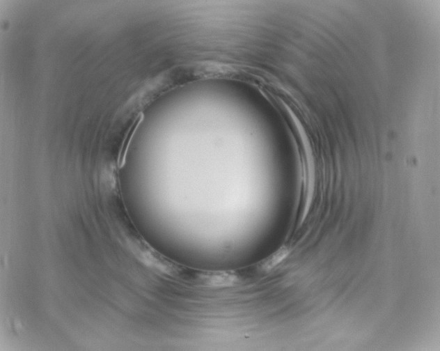 X0000074960621200609291914