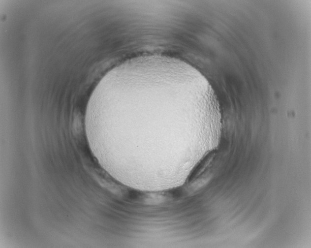 X0000074960623200609291914