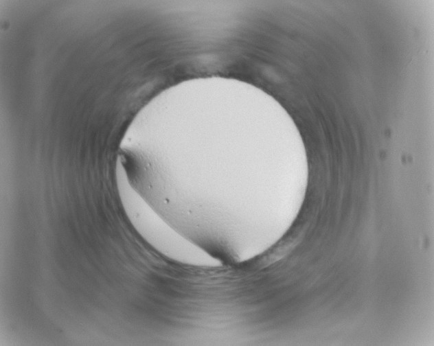 X0000074960624200609291914