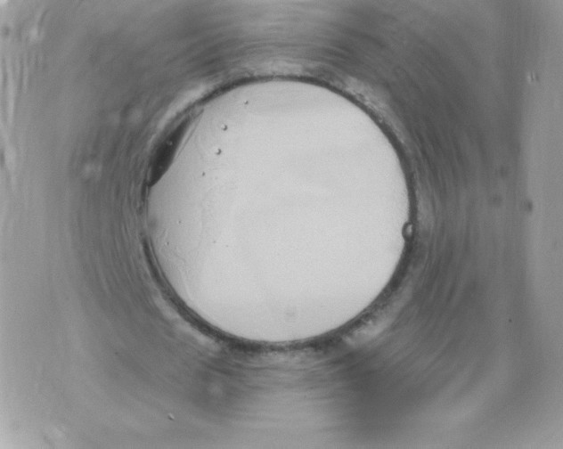 X0000074960625200609291913