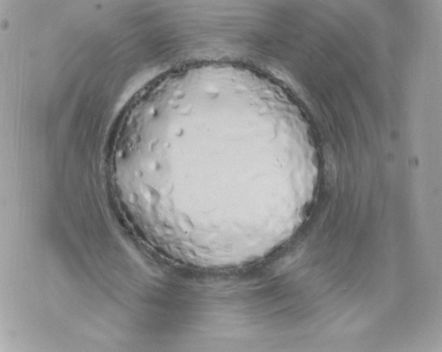 X0000074960626200609291913