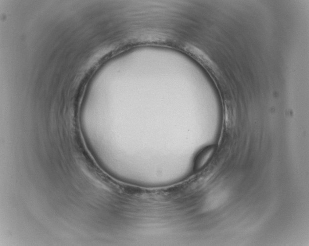 X0000074960627200609291913