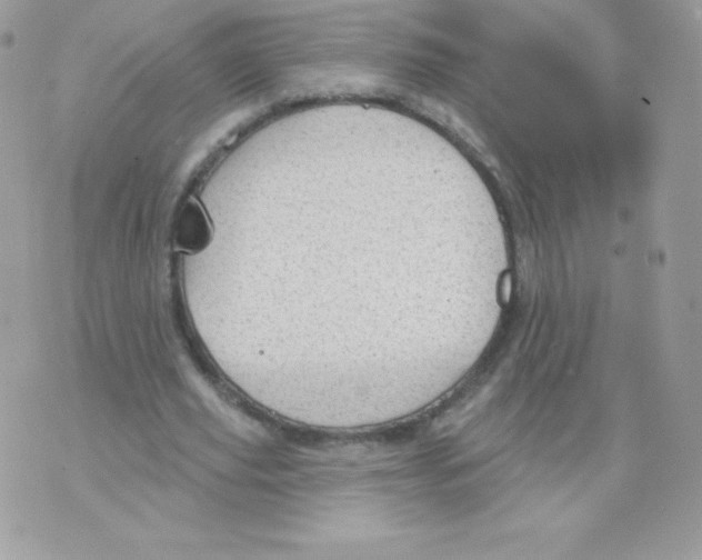 X0000074960629200609291913