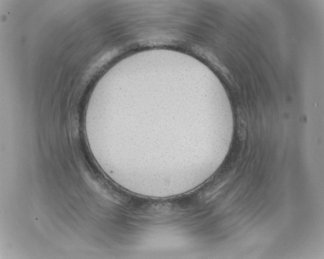 X0000074960631200609291913