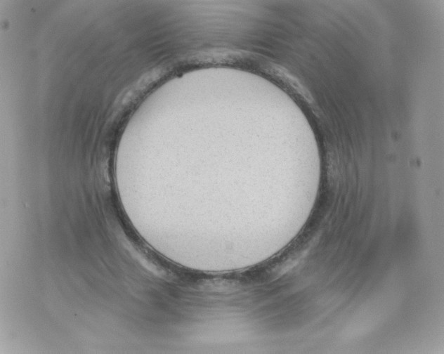 X0000074960633200609291913