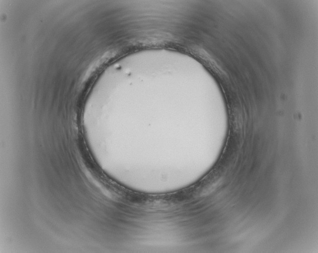 X0000074960634200609291913