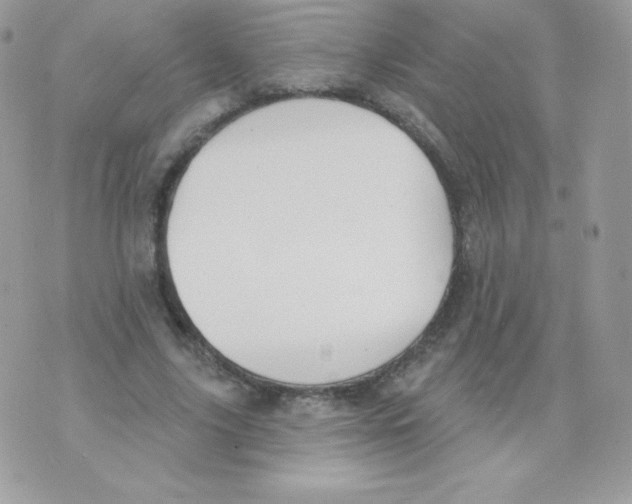 X0000074960635200609291913