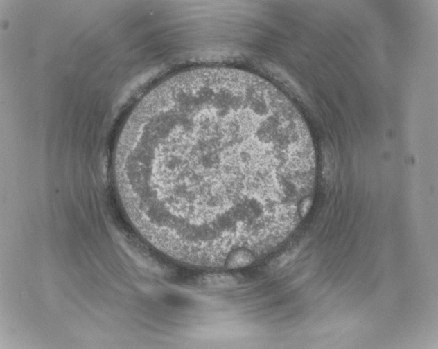 X0000074960636200609291913