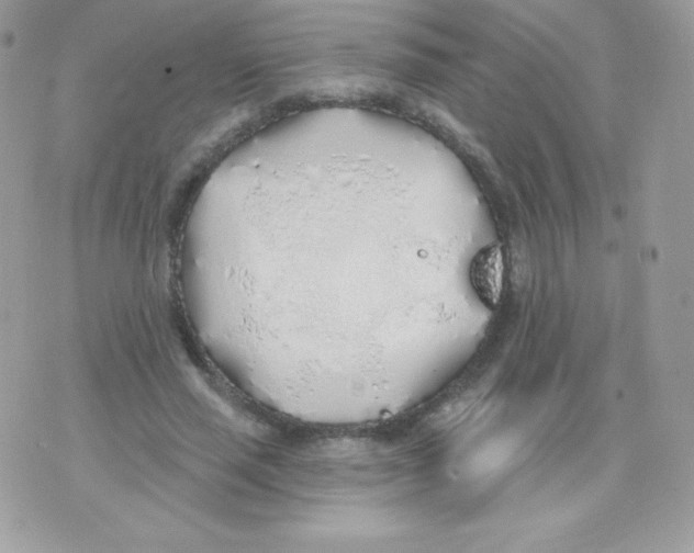 X0000074960637200609291913