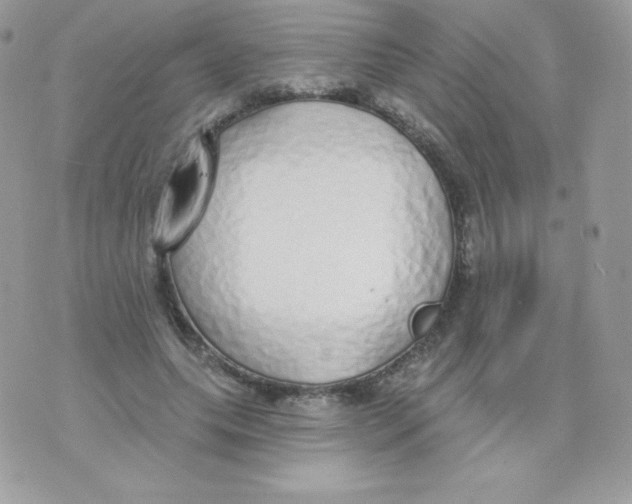 X0000074960639200609291914