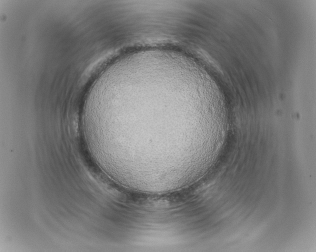 X0000074960640200609291914