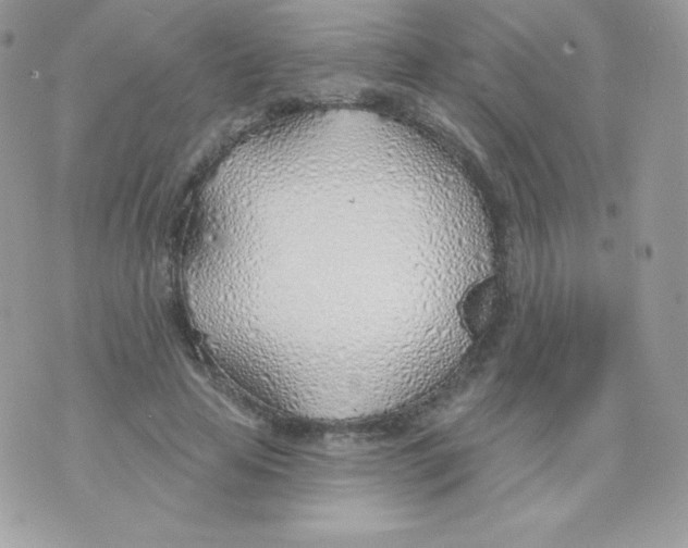 X0000074960641200609291914