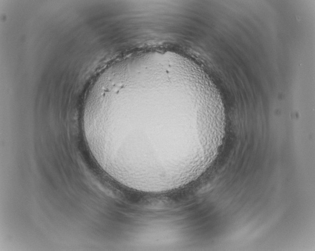 X0000074960642200609291914