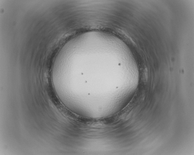 X0000074960643200609291914