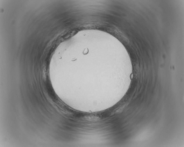 X0000074960644200609291914