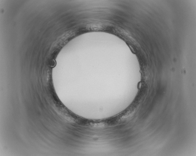 X0000074960645200609291914