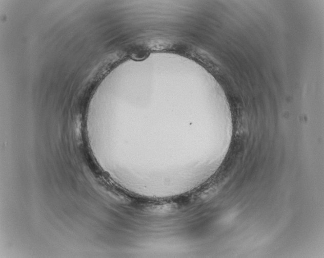 X0000074960646200609291914