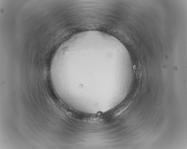 X0000074960647200609291914