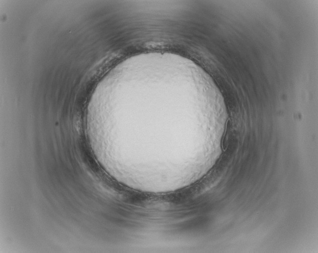 X0000074960648200609291914