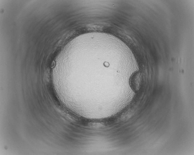 X0000074960649200609291914