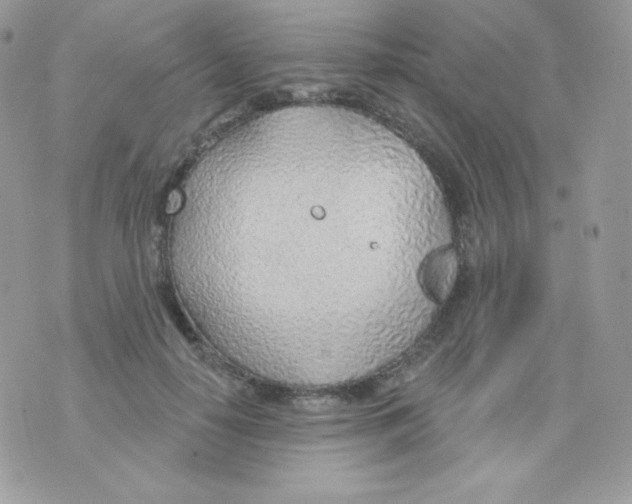 X0000074960650200609291914