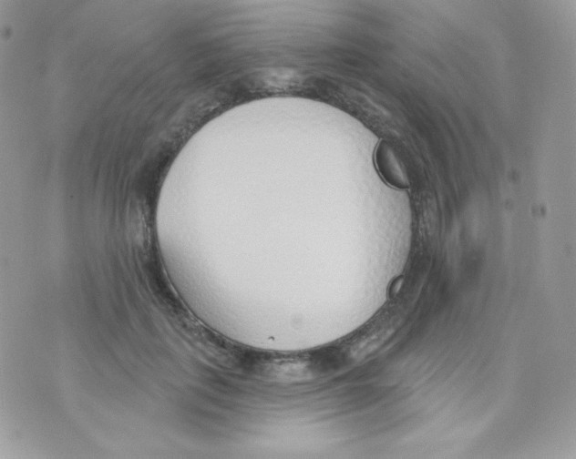 X0000074960651200609291914