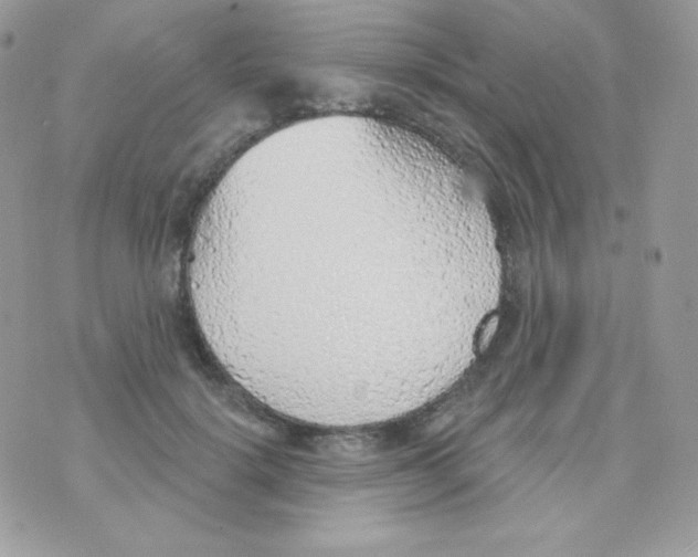 X0000074960652200609291914