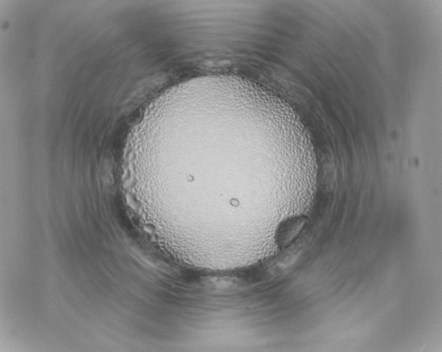 X0000074960654200609291914