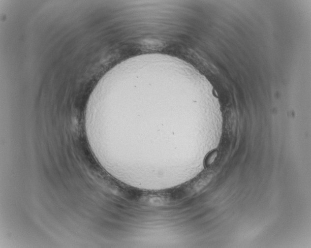 X0000074960655200609291914