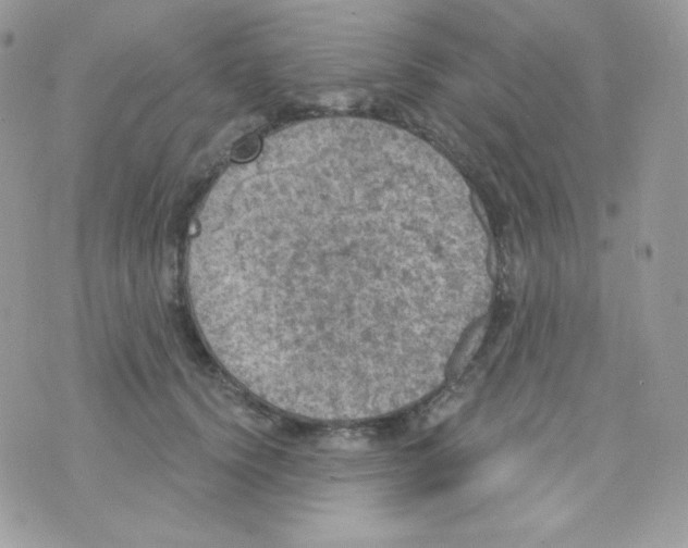 X0000074960656200609291914