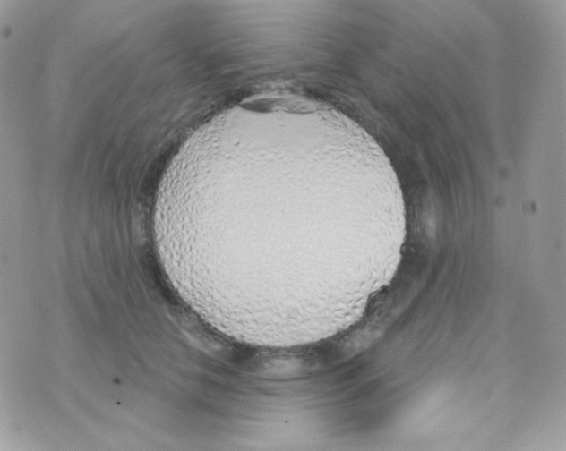 X0000074960658200609291914