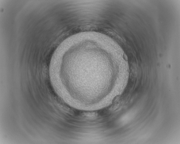 X0000074960659200609291914